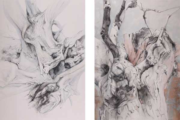 Mixed Media: Unique pastel and charcoal art by Bronwen Schalkwyk