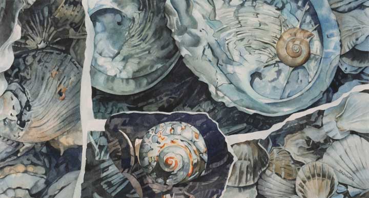 Bronwen Schalkwyk's TIDAL TREASURES - 555mm x 295mm watercolour by Bronwen Schalkwyk